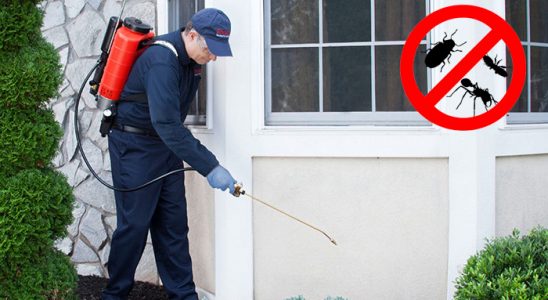 Köyceğiz Fare İlaçlama böcek ilaçlama ve haşere kontrolü — ilaclama-tr.com